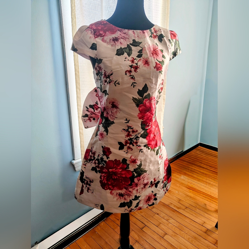 Lulu's Cream and Red Floral Mini Dress